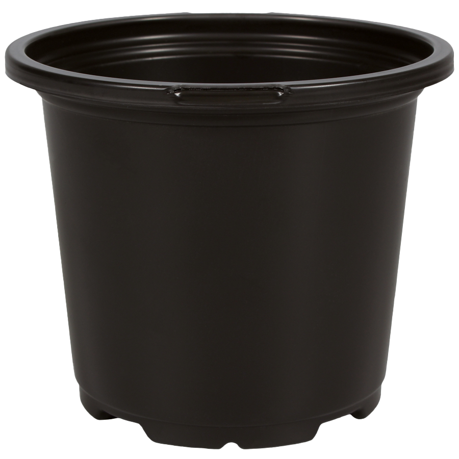 4.50 Inch Geranium Coex Pot Black – 720 per case - Geraniums